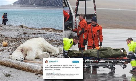 German Cruise Ship Staff Shoot And Kill Polar Bear In Norways Svalbard