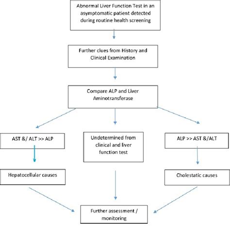 Algorithm Of Approach In Abnormal Liver Function Test Download