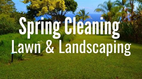 Spring Lawn Cleanup 6 Expert Tips For A Vibrant Landscape