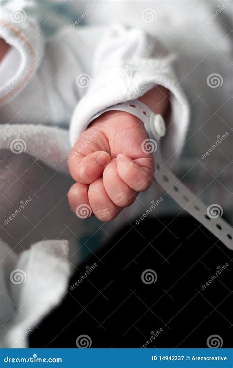Newborn Baby Hand Stock Image Image Of Beautiful Love 14942237