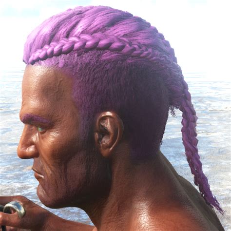 Hairstyles are items you can equip to. Coupe de cheveux style Viking - Wiki Officiel de ARK ...