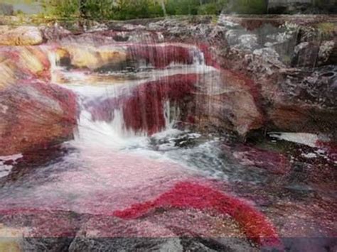 Cano Cristales River In Colombia South America Youtube