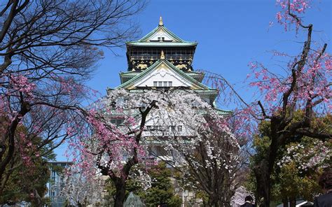 Castle walls and moat of osaka castle several rings of walls and moats serve as the main defense measure of castles. A Brief History of Osaka Castle