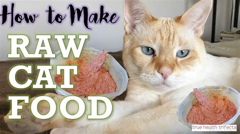 Even the best cat foods involve extra processing and adding artificial preservatives. How to Make RAW CAT FOOD (RECIPE) - Homemade Cat Food for ...