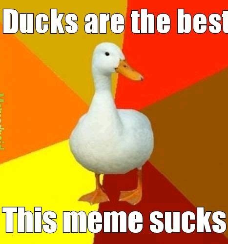 Ducks Meme By Gaeysee Memedroid
