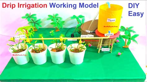 Drip Irrigation Working Model Science Fair Project 3d Diy Howtofunda