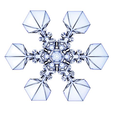 Designer Snowflakes