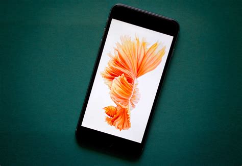 To make a jim beam black beauty, mix one part peach schnapps with a splash of cranberry juice and one half part jim beam black bourbon in a glass with. Set up your new iPhone 6s or 6s Plus the right way | Cult ...