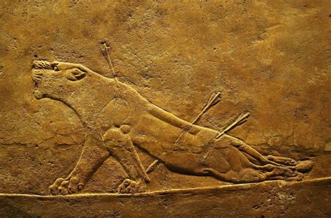 Archaeology And Art On Twitter Dying Lioness Kings Hunt Relief From