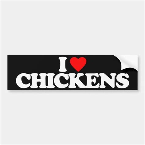 I Love Chickens Bumper Sticker Zazzle