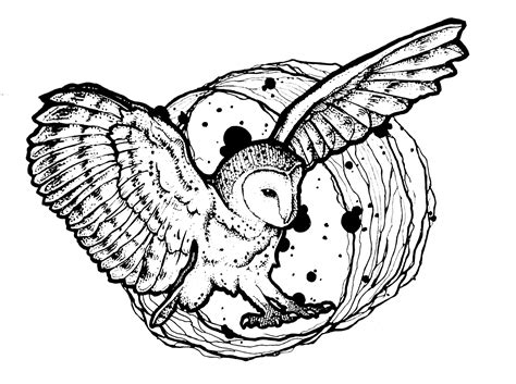 owls     owls kids coloring pages