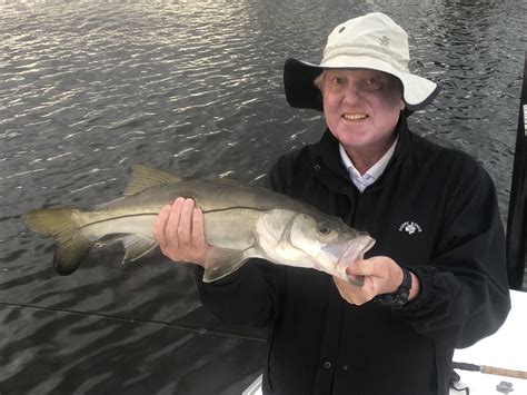 Nice Little Common Snook Caught In Palm Beach Florida Saltwater