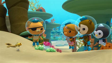 Artstation Octonauts Movie Art Direction On Great Barrier Reef