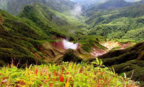 hike into the valley of desolation photo creds fb hike into dominica dominica green scenery