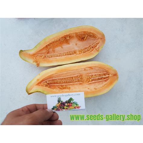 Melon Banana Frön Pris €215