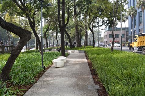 Beneficios De Las áreas Verdes Urbanas Parques Alegres Iap