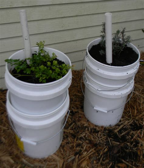 Self Watering Garden Containers 5 Gallon Buckets Upated