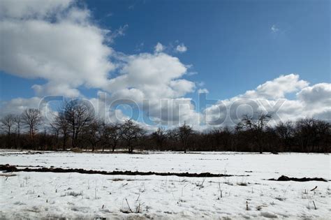 Snowy Landscape The Beginning Of Spring Stock Image Colourbox