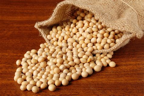 Us Intensive Management Pushes Soybeans To Maximum Yield Potential