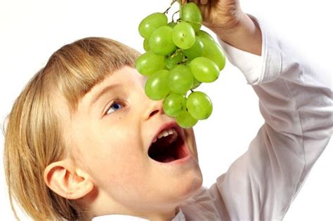 Comer Uvas Es La Tercera Causa De Asfixia En Menores De Cinco Años Advierten Los Expertos Por