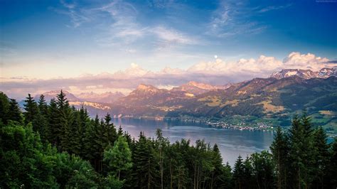 Wallpaper Lake Zurich Forest Sky Mountains 4k Nature