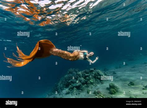 Mermaid Swimming Hi Res Stock Photography And Images Alamy