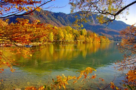 Autumn Lake Fall Trees Serenity Reflection