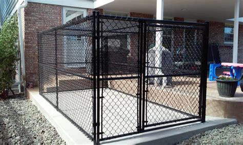 Give Your Dog The Space It Deserves We Have The Best Kennels