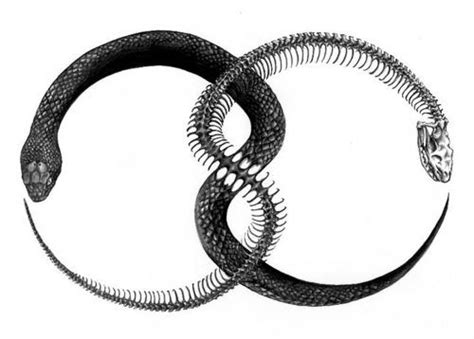 Ouroboros Snake Serpent Idee Per Tatuaggi Tatuaggi Scheletro