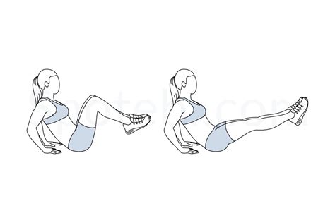 Seated Knee Tucks Illustrated Exercise Guide