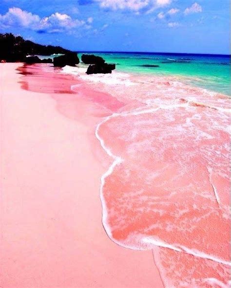Pink Sands Beach In The Bahamas Vacation Places Vacation Destinations