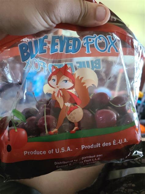 Blue Eyed Fox Raccidentallyfurry