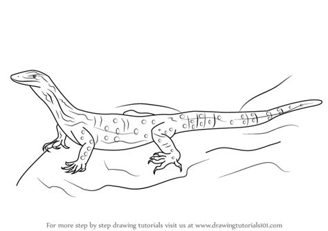 Click image for bigger version. Step by Step How to Draw a Goanna : DrawingTutorials101.com