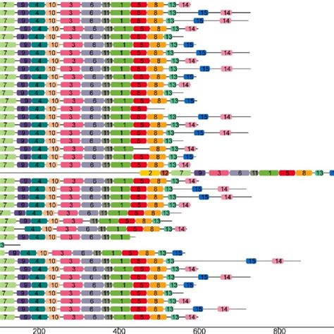 conserved protein motifs in map65 amino acid of six cucurbitaceae download scientific diagram