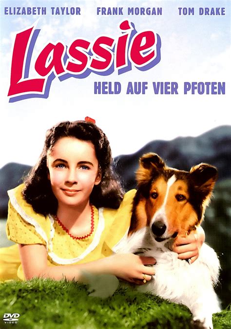 Lassie Held Auf Vier Pfoten Dvd Oder Blu Ray Leihen Videobusterde