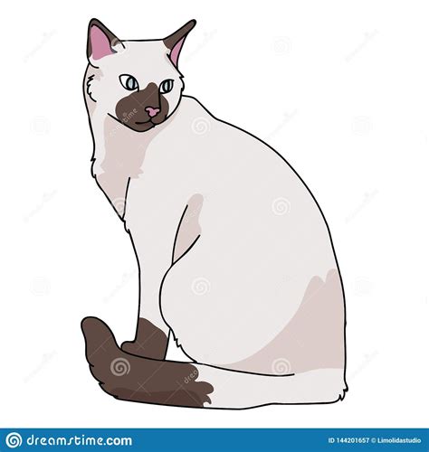 Cute Siamese Cat Cartoon Vector Illustration Motif Set Hand Drawn