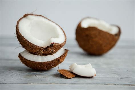 Virgin coconut oil, organic coconut oil, and the organic virgin coconut oil can be unrefined. Can Cats Eat Coconut?