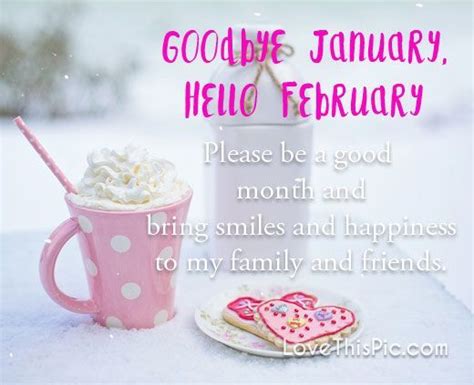 Bye January Hello February Please Be A Good Month And Bring Smiles