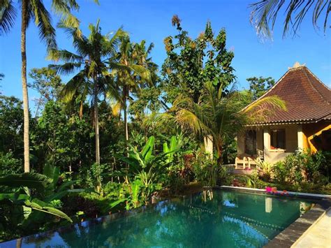New Villa With Pooljungle Viewb Villas For Rent In Ubud Bali