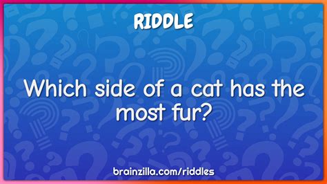 Which Side Of A Cat Has The Most Fur Riddle And Answer Brainzilla