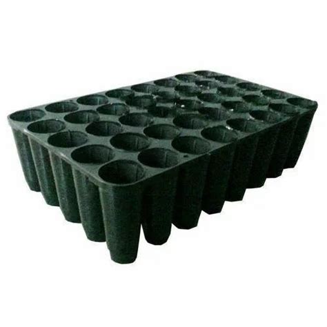 Plastic 40 Cell Seedling Tray For Wetland Paddy Seeding At Rs 8piece