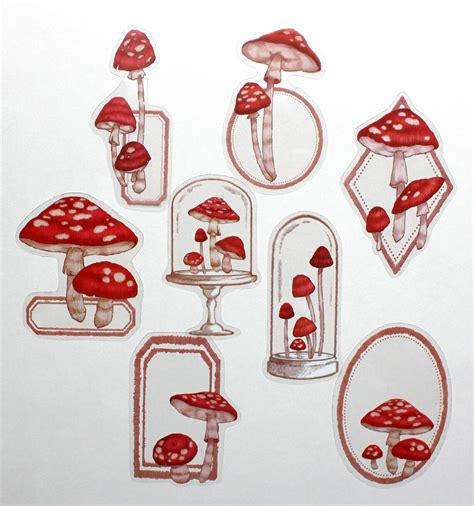 Marvelous Mushrooms In A Jarred Mushroom Transparent Etsy