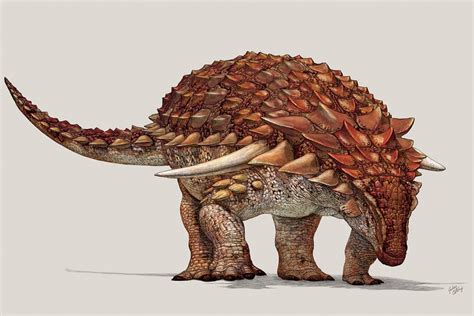 Conheça O Mais Novo Dinossauro ‘blindado Veja