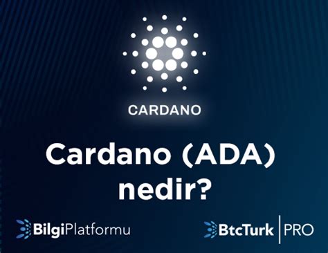 Is cardano a good investment? Cardano (ADA) Nedir? Nasıl Alınır? Nasıl Saklanır? | BtcTurk