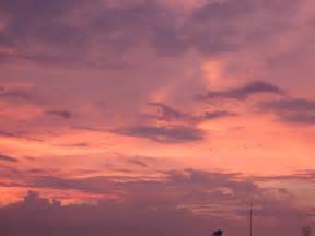 Pink Sky Free Photo Download Freeimages
