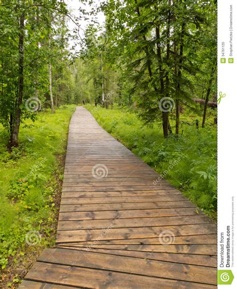 See more of norled on facebook. Boreal Skogtaigastrandpromenad Nordliga F. KR. Kanada ...