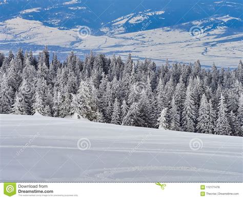 Winter Landscape In Madaras Harghita Romania Stock Photo Image Of