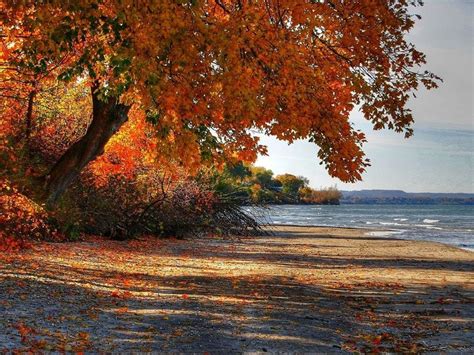 Who Wants To Go To The Beach In The Fall Fall Beach Beach Wallpaper
