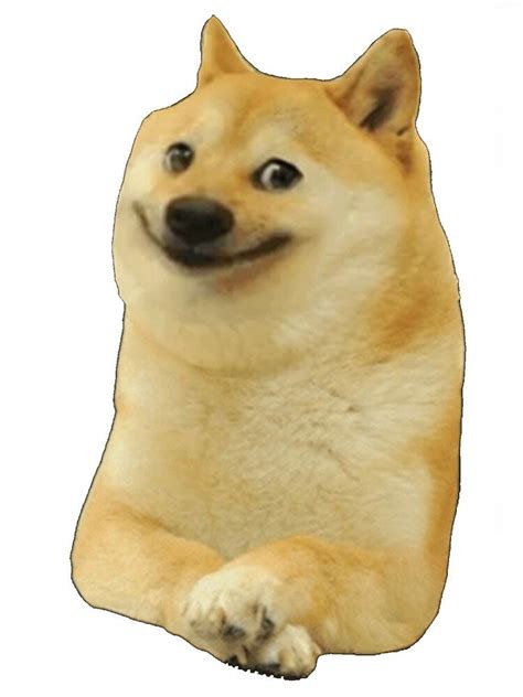 Just Wishing You All A Happy Day Dogecoin