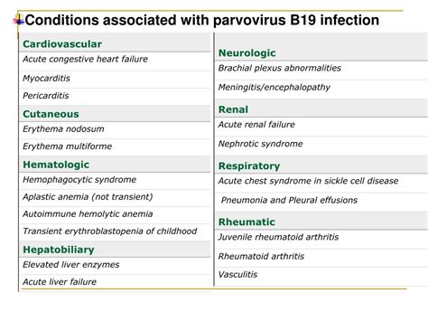 Ppt Human Parvovirus B19 Infection Powerpoint Presentation Free
